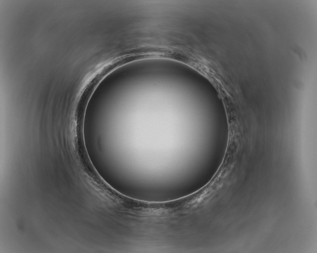 X0000113940342200909251245