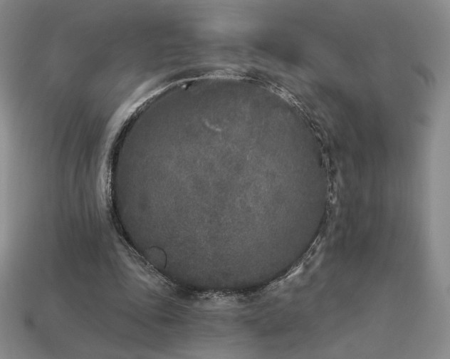 X0000113940343200909251245