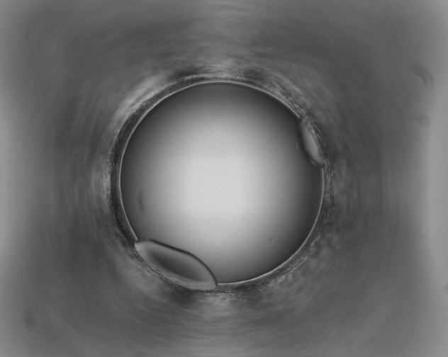 X0000113940344200909251245