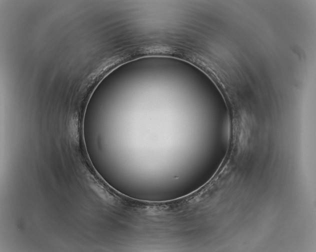 X0000113940345200909251245