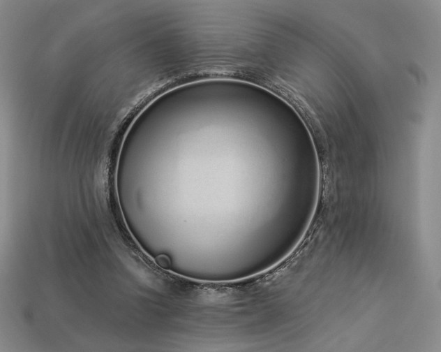 X0000113940346200909251245