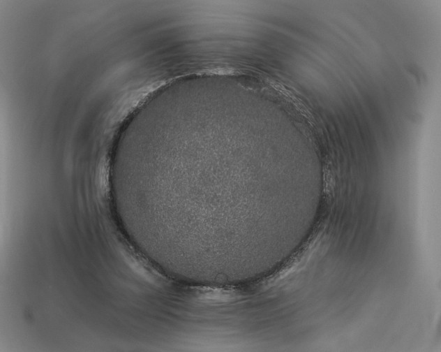 X0000113940347200909251245