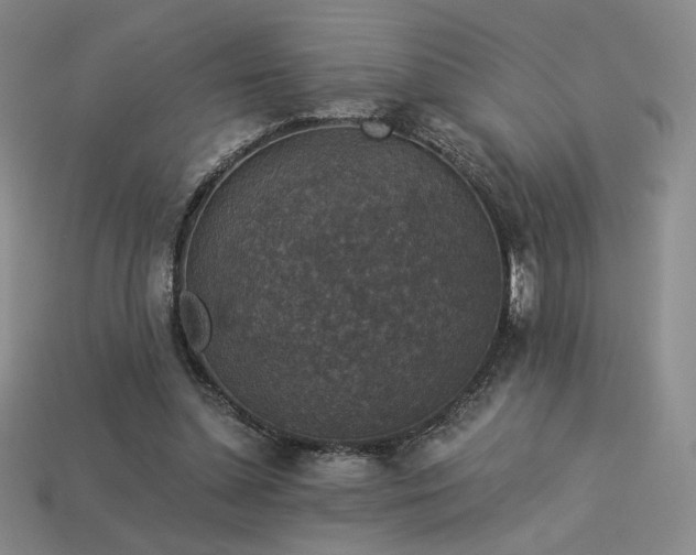 X0000113940348200909251245