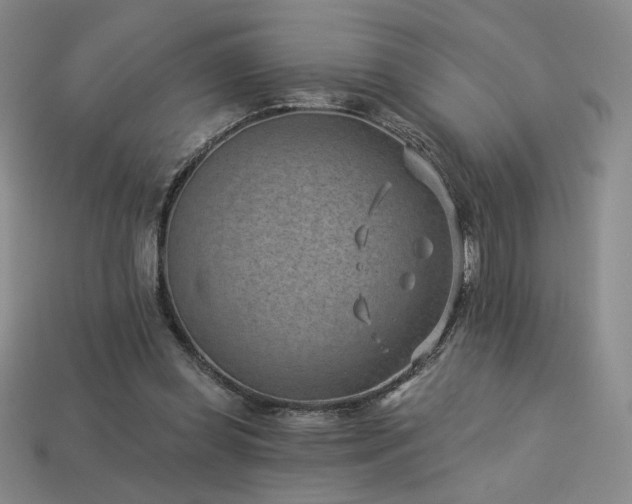 X0000113940349200909251245