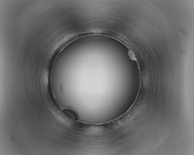 X0000113940350200909251245