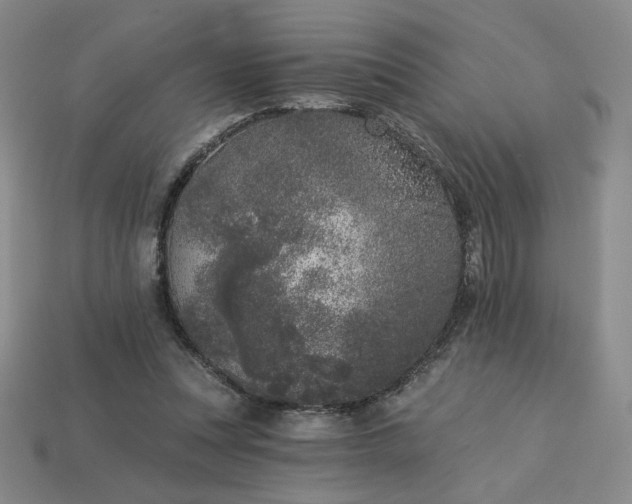 X0000113940351200909251245