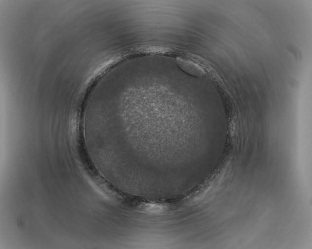 X0000113940352200909251245