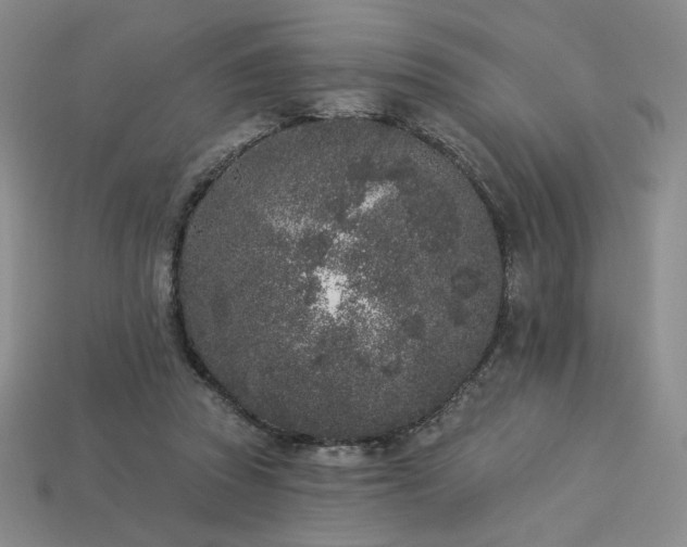 X0000113940353200909251245