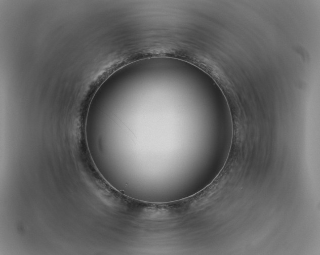 X0000113940354200909251245