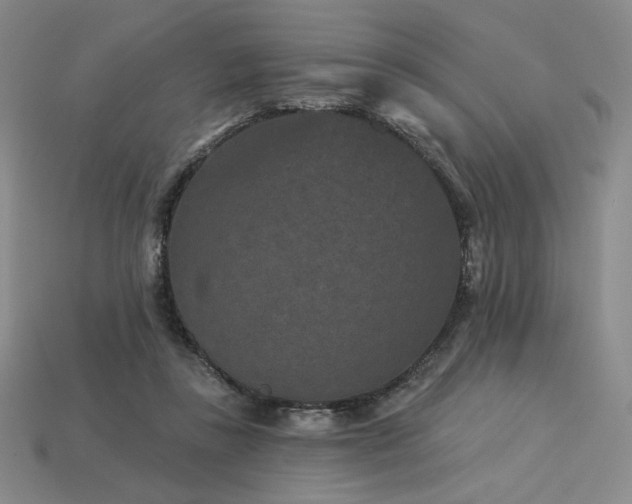 X0000113940355200909251245