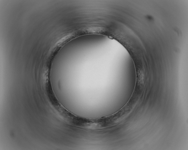 X0000113940356200909251245