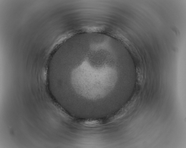 X0000113940357200909251245