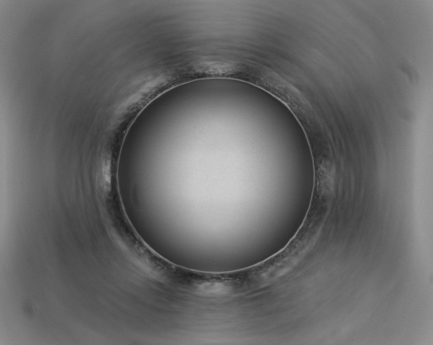 X0000113940358200909251245