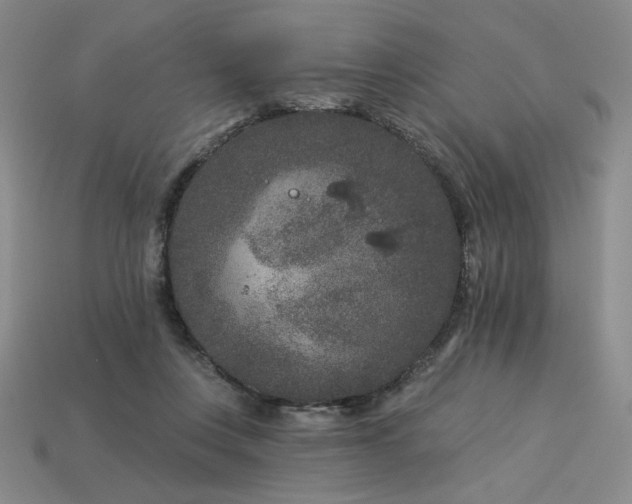 X0000113940359200909251245