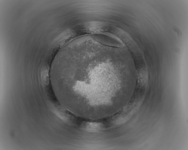 X0000113940360200909251245