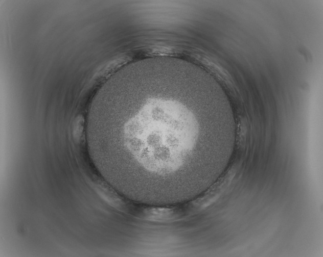 X0000113940361200909251245