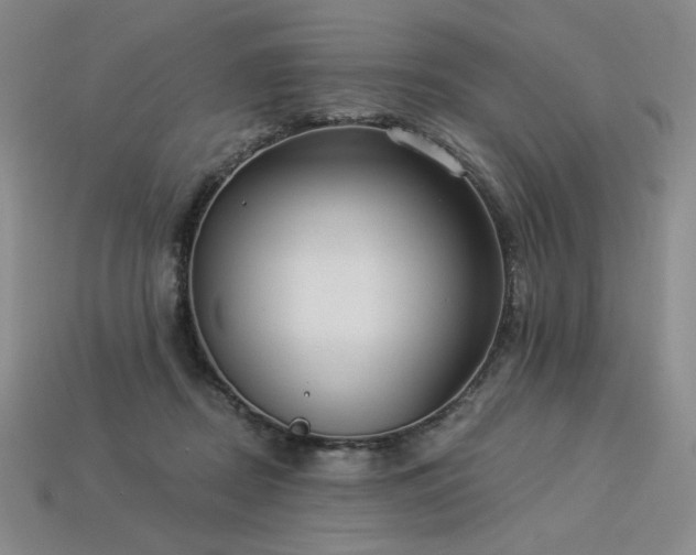 X0000113940362200909251245