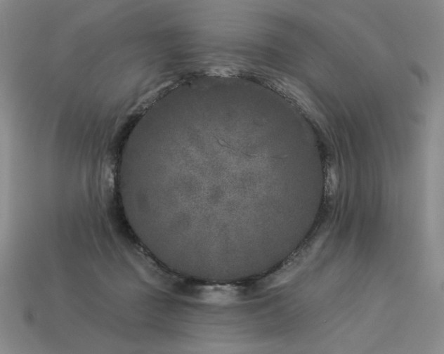 X0000113940363200909251245