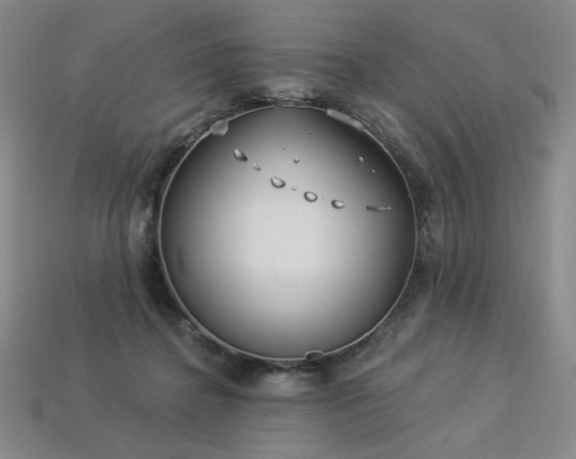 X0000113940364200909251245