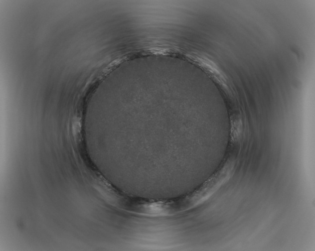 X0000113940365200909251245