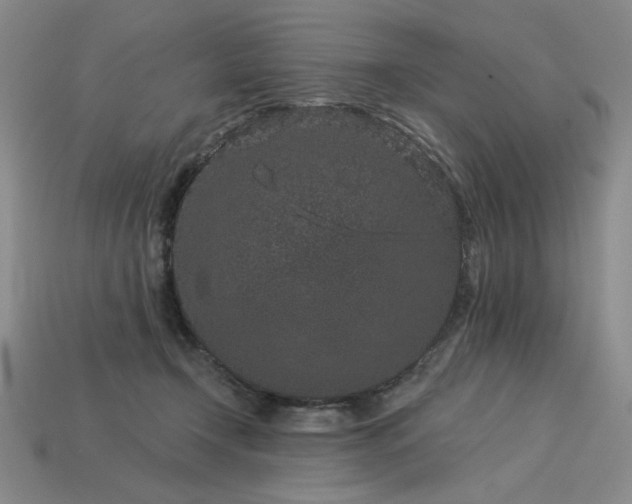 X0000113940366200909251245