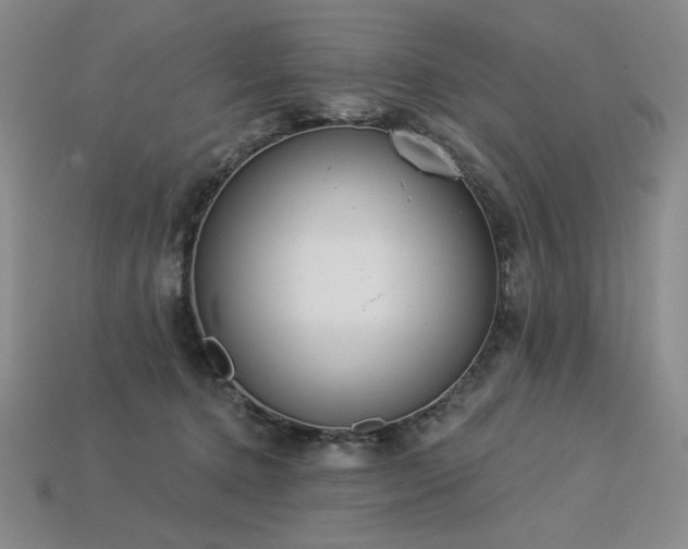 X0000113940368200909251245