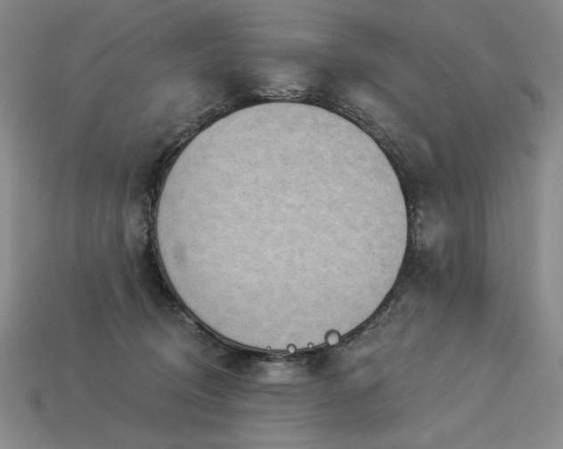 X0000113940370200909251245