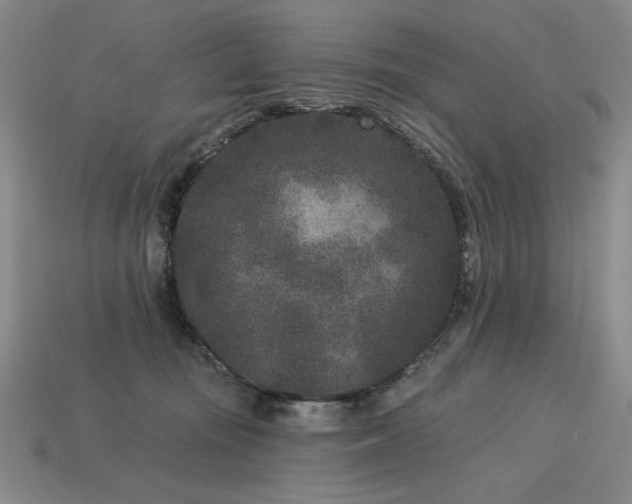 X0000113940371200909251245