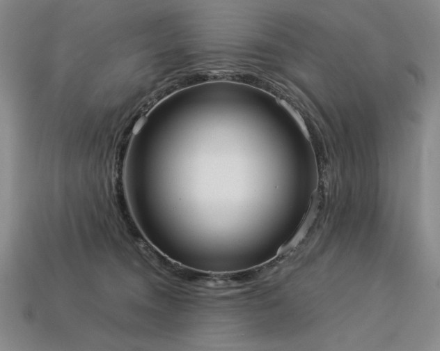 X0000113940372200909251245