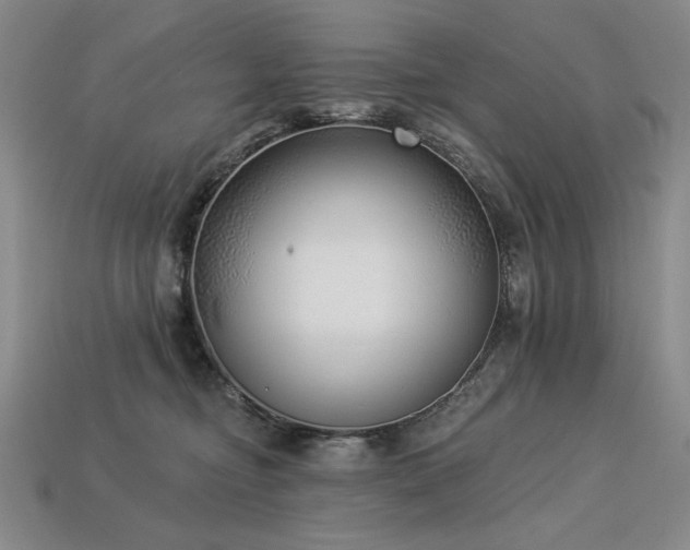 X0000113940374200909251245