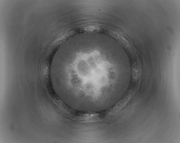 X0000113940375200909251245