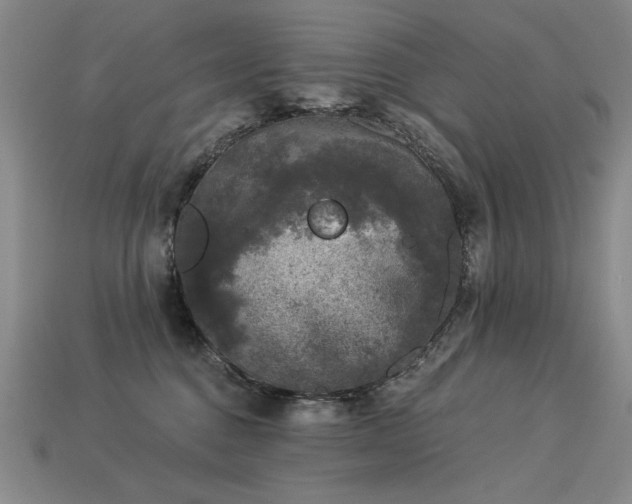 X0000113940376200909251245