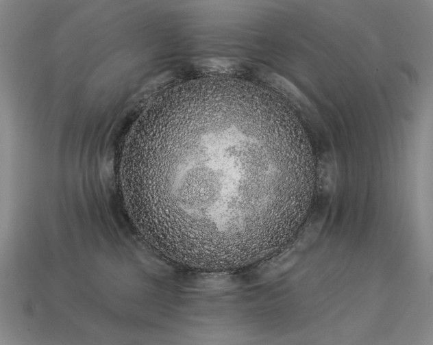 X0000113940377200909251245