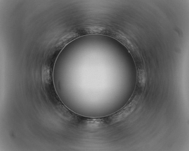 X0000113940378200909251245