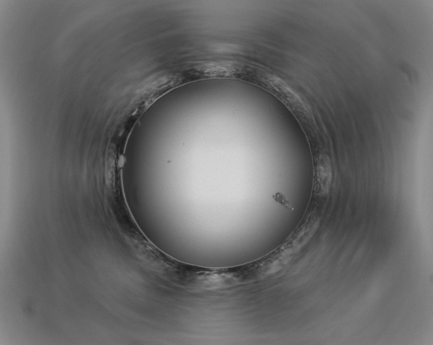 X0000113940379200909251245