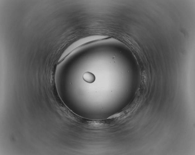 X0000113940380200909251245