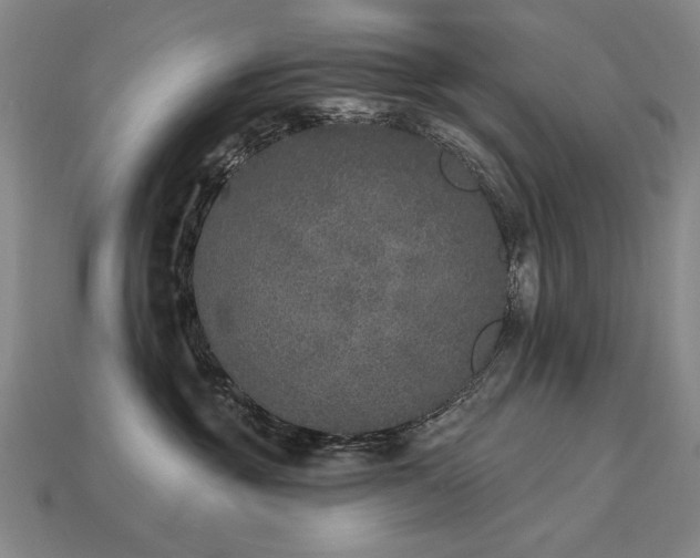 X0000113940381200909251245