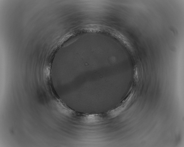 X0000113940382200909251245