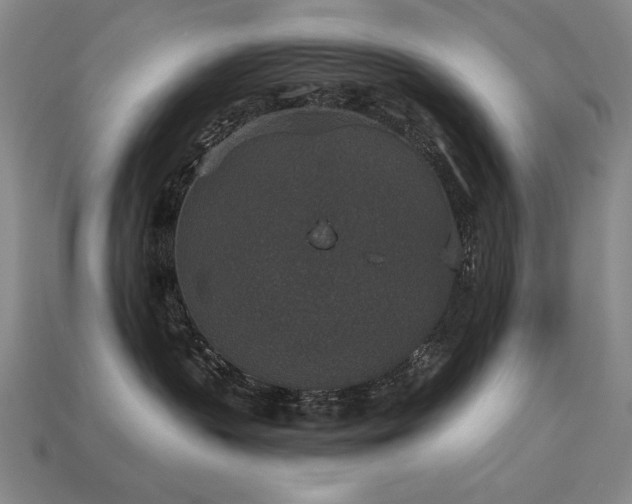 X0000113940383200909251245