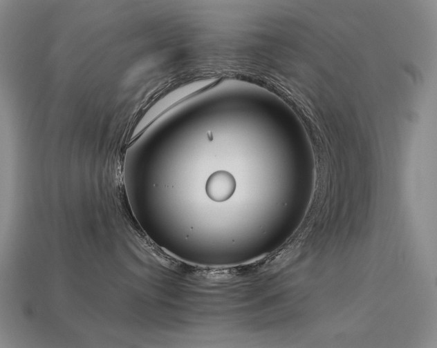 X0000113940384200909251245