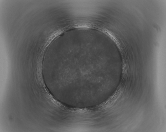 X0000113940385200909251245