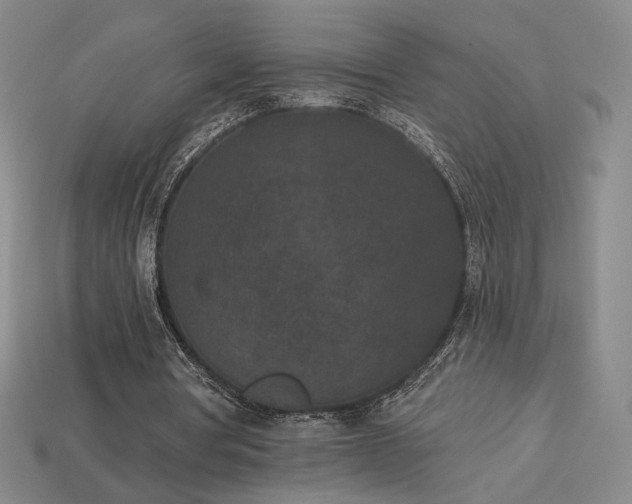 X0000113940386200909251245