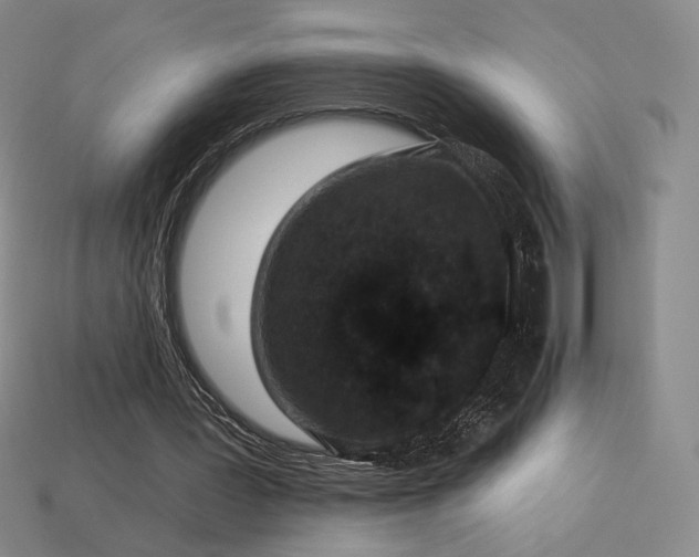 X0000113940387200909251245