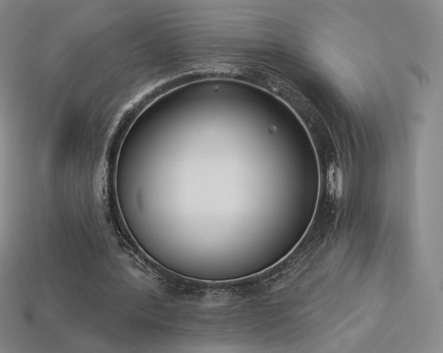 X0000113940388200909251245