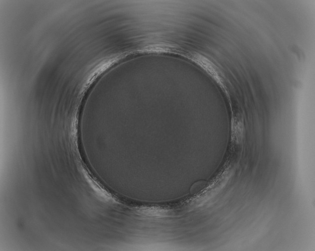 X0000113940389200909251245