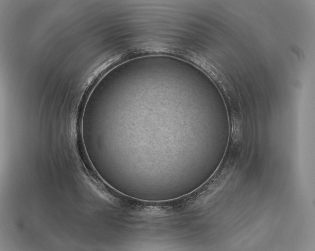 X0000113940390200909251245