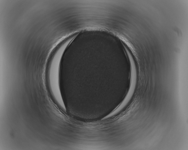 X0000113940391200909251245