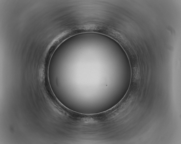 X0000113940392200909251245