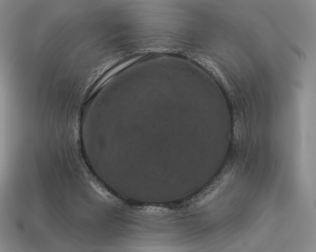 X0000113940393200909251245