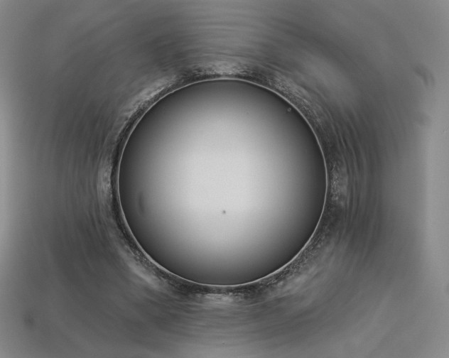 X0000113940394200909251245